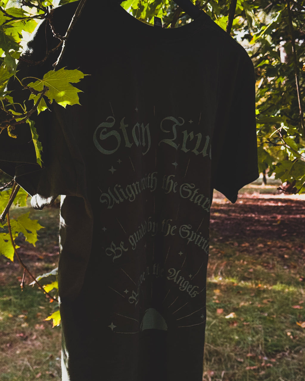 A dark green graphic t-shirt hanging on a hanger from a tree branch outdoors, with green leaves and dappled sunlight filtering through the branches.